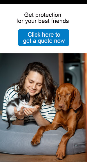 MVR Pet Insurance Quote